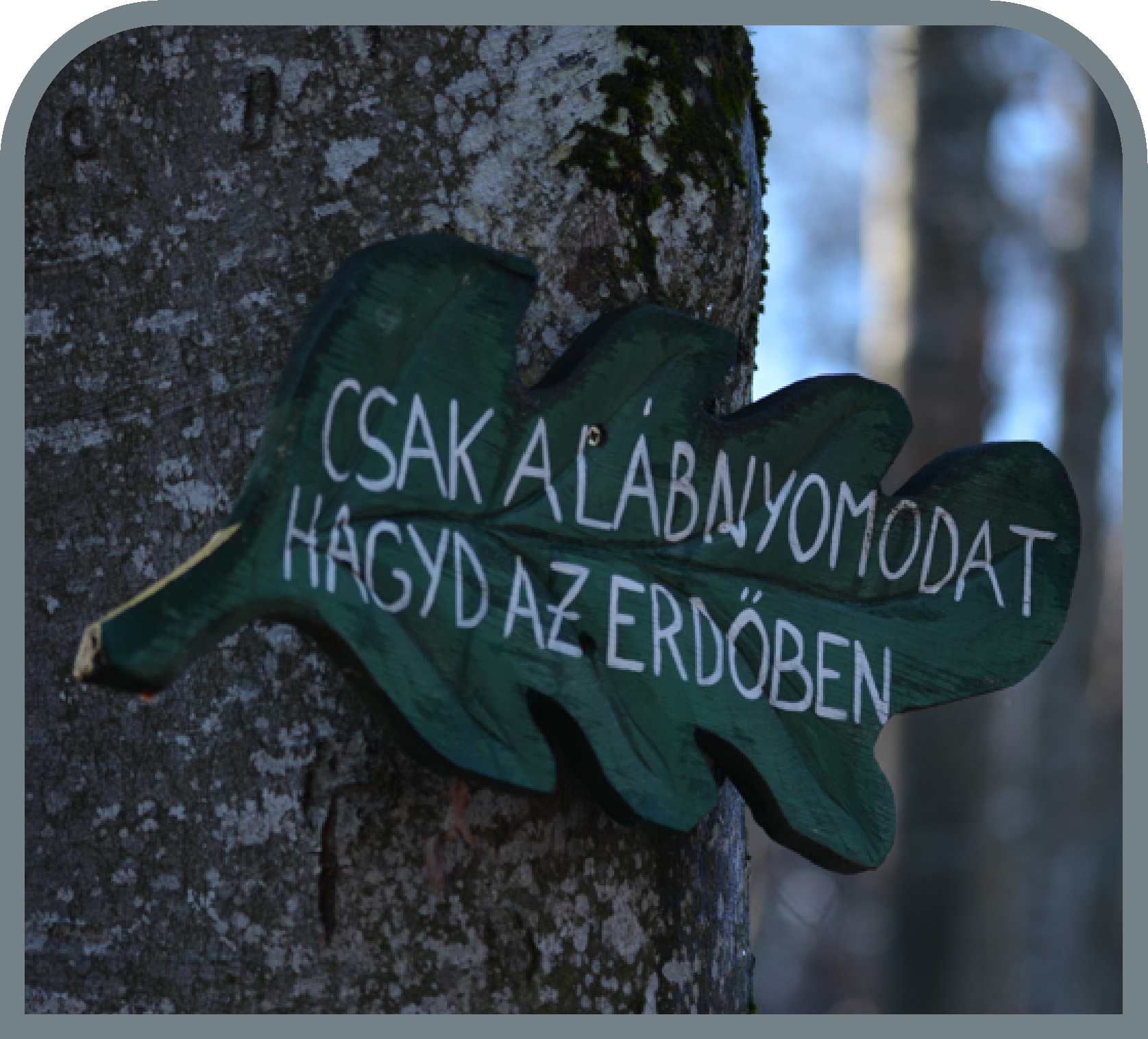 (34) BUDVÁR